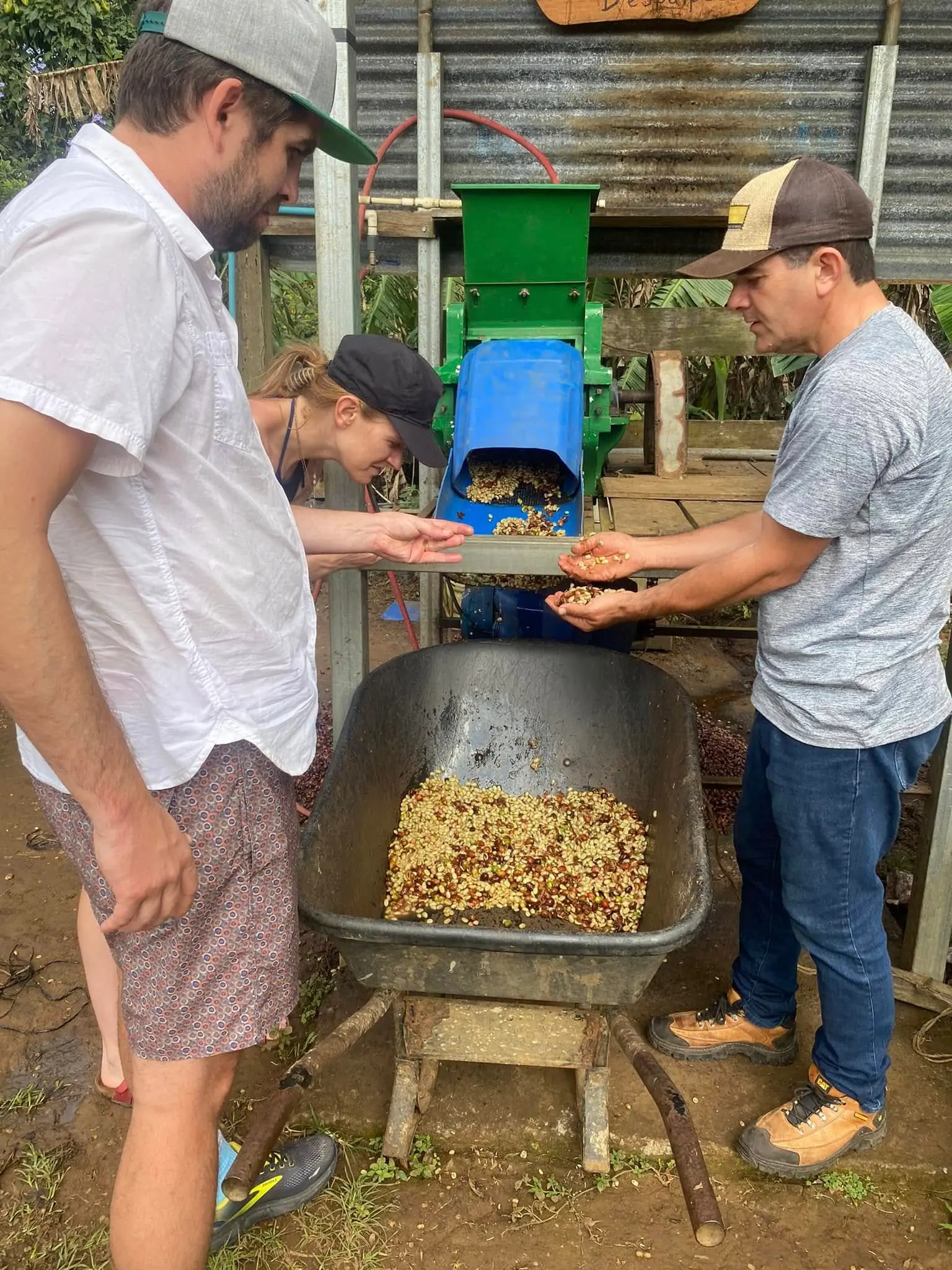 The Coffee Transformation